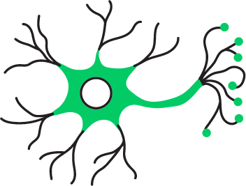 Neurology and Psychiatry